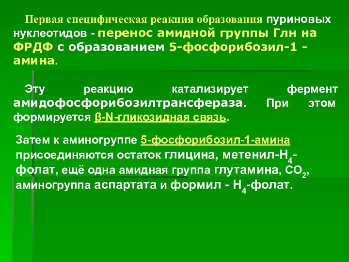 Первая специфическая реакция образования пуриновых нуклеотидов - перенос амидной группы Глн