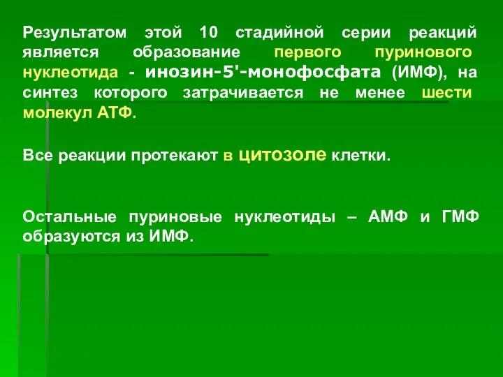 Результатом этой 10 стадийной серии реакций является образование первого пуринового нуклеотида