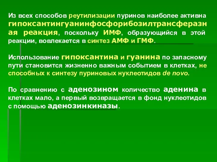 Из всех способов реутилизации пуринов наиболее активна гипоксантингуанинфосфорибозилтрансферазная реакция, поскольку ИМФ,