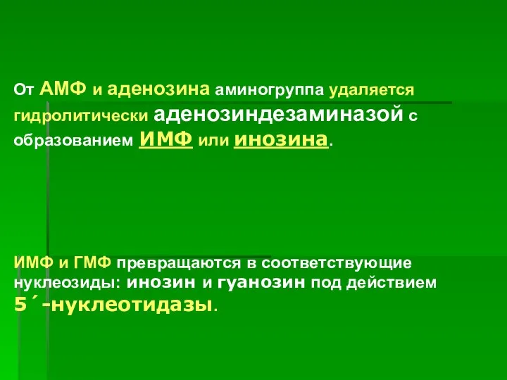 От АМФ и аденозина аминогруппа удаляется гидролитически аденозиндезаминазой с образованием ИМФ