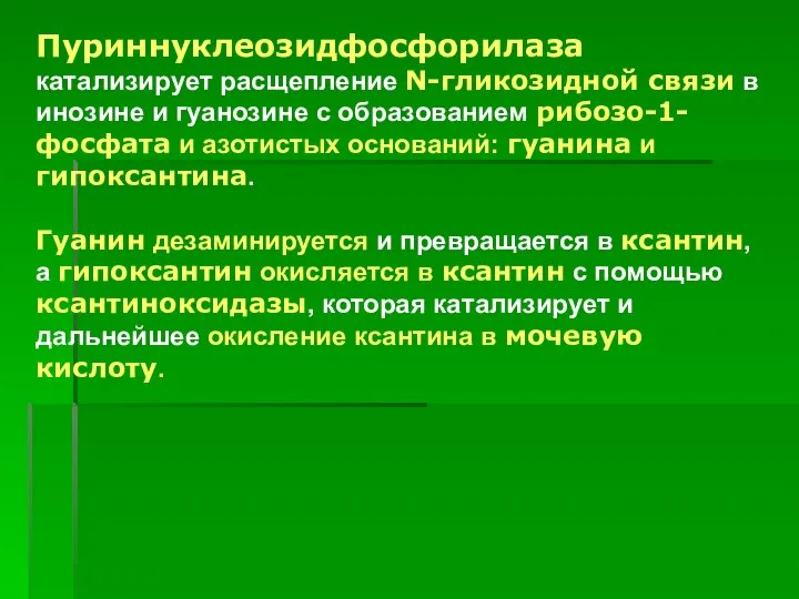 Пуриннуклеозидфосфорилаза катализирует расщепление N-гликозидной связи в инозине и гуанозине с образованием