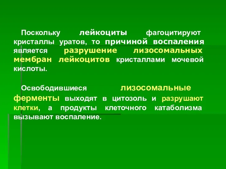 Поскольку лейкоциты фагоцитируют кристаллы уратов, то причиной воспаления является разрушение лизосомальных