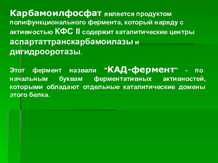 Карбамоилфосфат является продуктом полифункционального фермента, который наряду с активностью КФС II