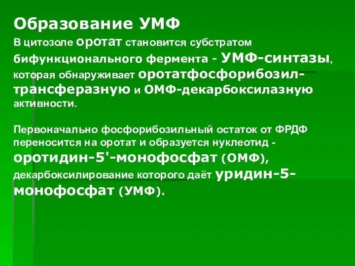 Образование УМФ В цитозоле оротат становится субстратом бифункционального фермента - УМФ-синтазы,