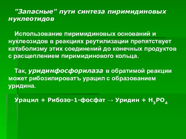 ). "Запасные" пути синтеза пиримидиновых нуклеотидов Использование пиримидиновых оснований и нуклеозидов