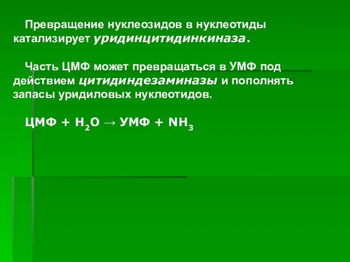 ). ). Превращение нуклеозидов в нуклеотиды катализирует уридинцитидинкиназа. Часть ЦМФ может