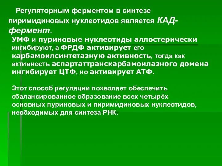 ). Регуляторным ферментом в синтезе пиримидиновых нуклеотидов является КАД-фермент. УМФ и