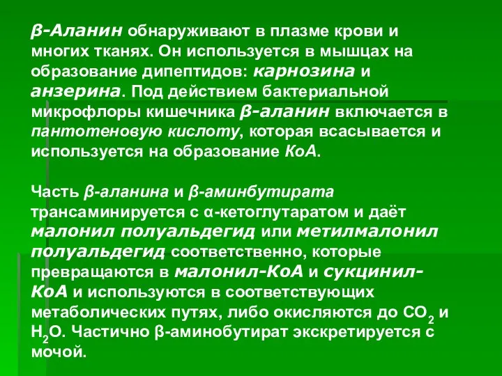 ). ). β-Аланин обнаруживают в плазме крови и многих тканях. Он