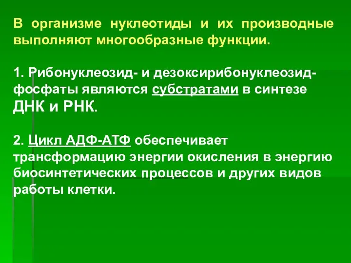 В организме нуклеотиды и их производные выполняют многообразные функции. 1. Рибонуклеозид-