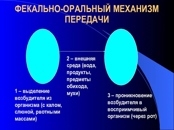 ФЕКАЛЬНО-ОРАЛЬНЫЙ МЕХАНИЗМ ПЕРЕДАЧИ 1 – выделение возбудителя из организма (с калом,