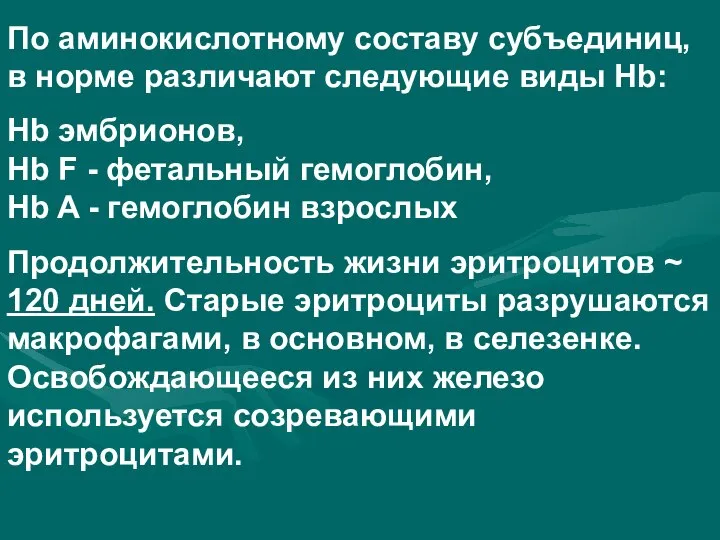 По аминокислотному составу субъединиц, в норме различают следующие виды Hb: Hb