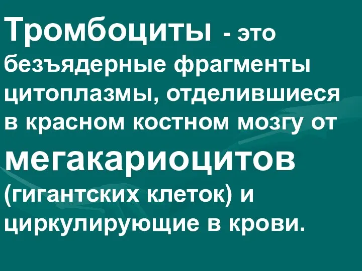 Тромбоциты - это безъядерные фрагменты цитоплазмы, отделившиеся в красном костном мозгу