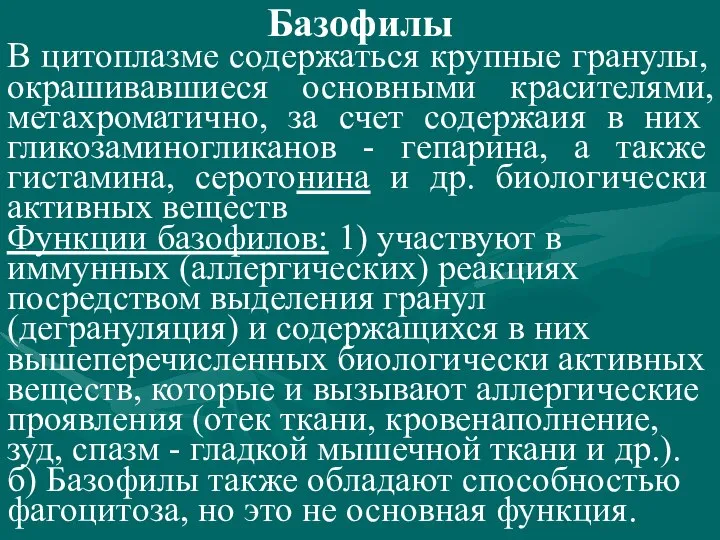 Базофилы В цитоплазме содержаться крупные гранулы, окрашивавшиеся основными красителями, метахроматично, за