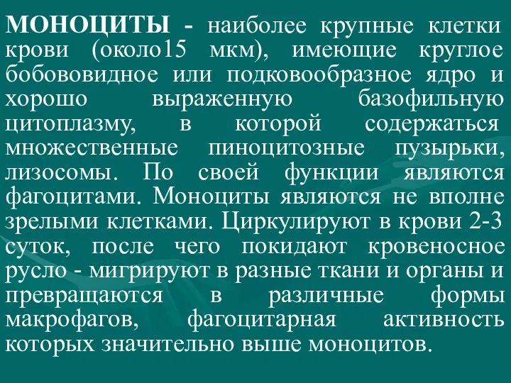 МОНОЦИТЫ - наиболее крупные клетки крови (около15 мкм), имеющие круглое бобововидное