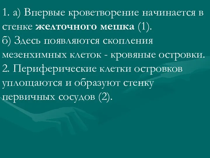 1. а) Впервые кроветворение начинается в стенке желточного мешка (1). б)