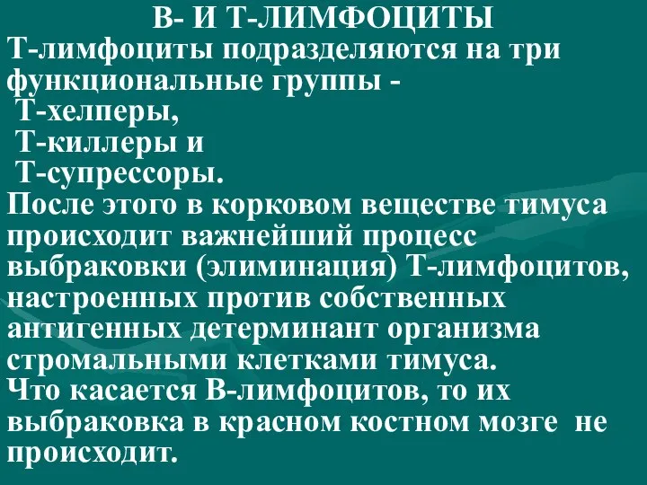 В- И Т-ЛИМФОЦИТЫ Т-лимфоциты подразделяются на три функциональные группы - Т-хелперы,