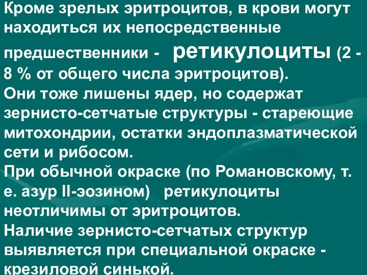 Кроме зрелых эритроцитов, в крови могут находиться их непосредственные предшественники -