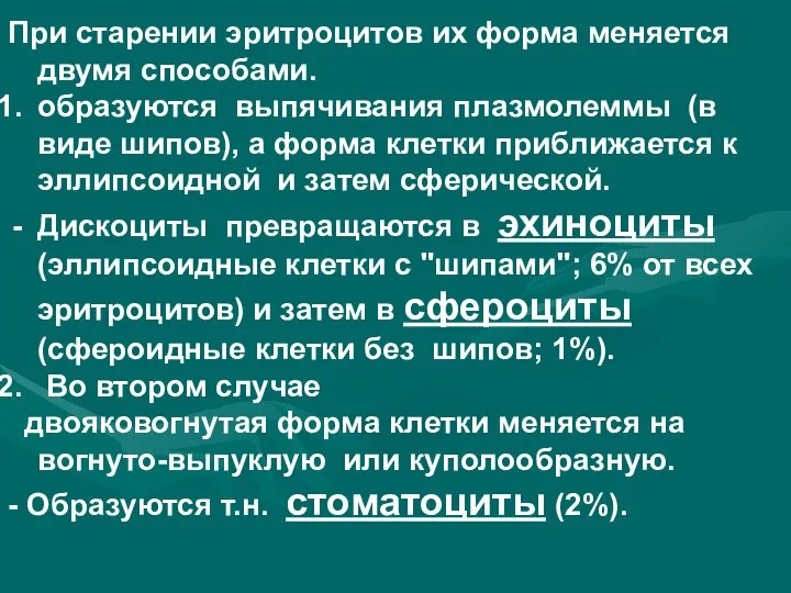 При старении эритроцитов их форма меняется двумя способами. образуются выпячивания плазмолеммы