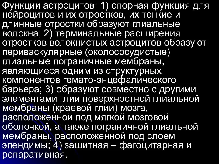 Функции астроцитов: 1) опорная функция для нейроцитов и их отростков, их