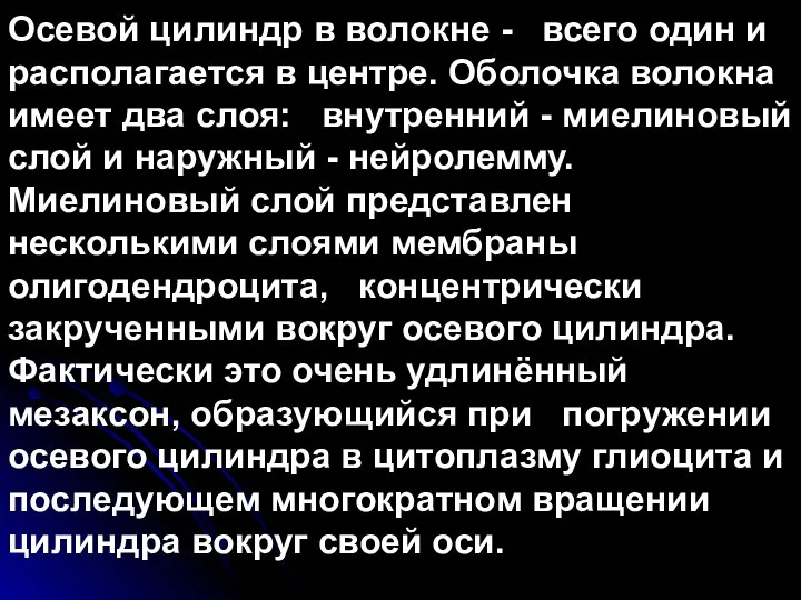 Осевой цилиндр в волокне - всего один и располагается в центре.