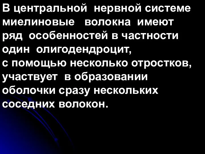 В центральной нервной системе миелиновые волокна имеют ряд особенностей в частности