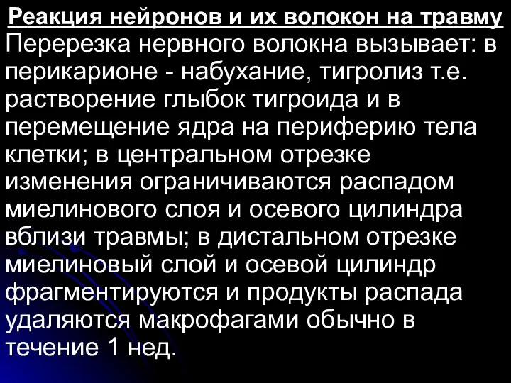 Реакция нейронов и их волокон на травму Перерезка нервного волокна вызывает: