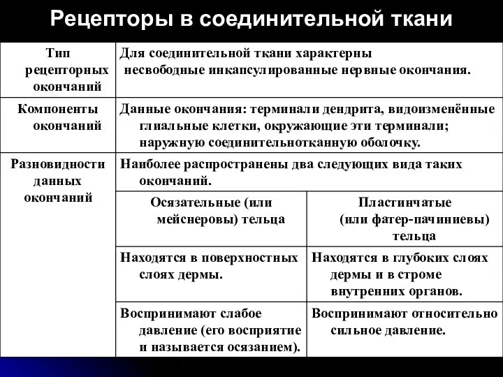 Рецепторы в соединительной ткани