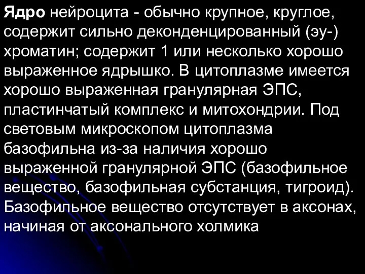 Ядро нейроцита - обычно крупное, круглое, содержит сильно деконденцированный (эу-) хроматин;