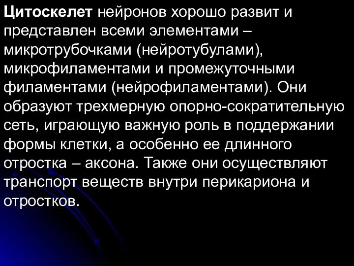 Цитоскелет нейронов хорошо развит и представлен всеми элементами – микротрубочками (нейротубулами),