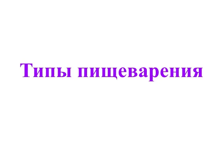 Типы пищеварения