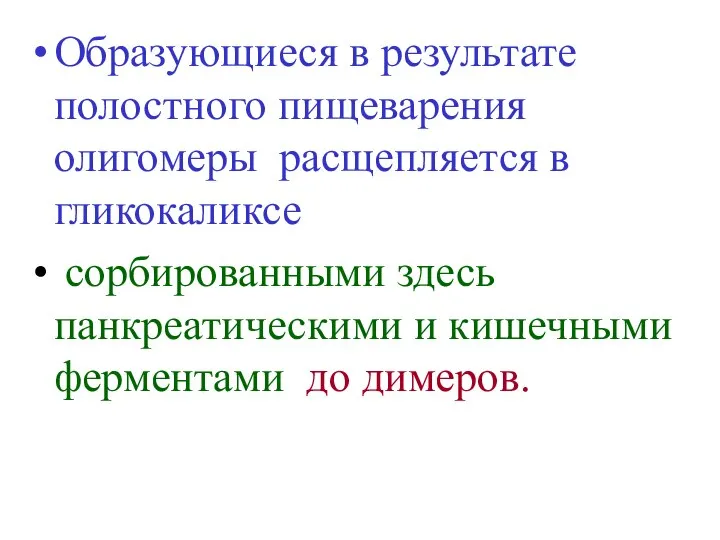 Образующиеся в результате полостного пищеварения олигомеры расщепляется в гликокаликсе сорбированными здесь