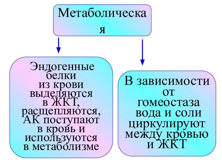 Метаболическая Эндогенные белки из крови выделяются в ЖКТ, расщепляются, АК поступают