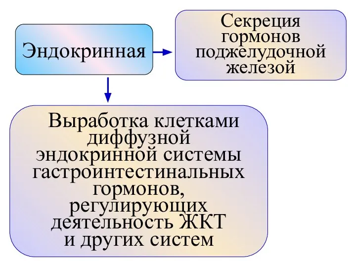 Эндокринная Секреция гормонов поджелудочной железой Выработка клетками диффузной эндокринной системы гастроинтестинальных