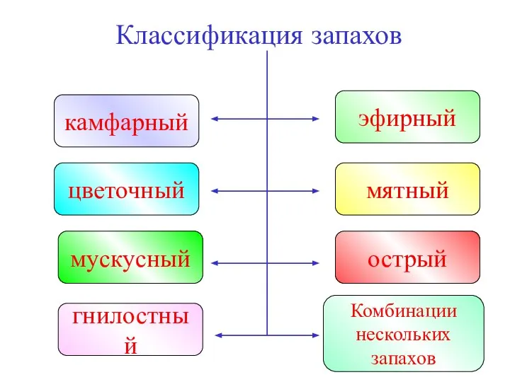 Классификация запахов камфарный цветочный мускусный эфирный мятный острый гнилостный Комбинации нескольких запахов