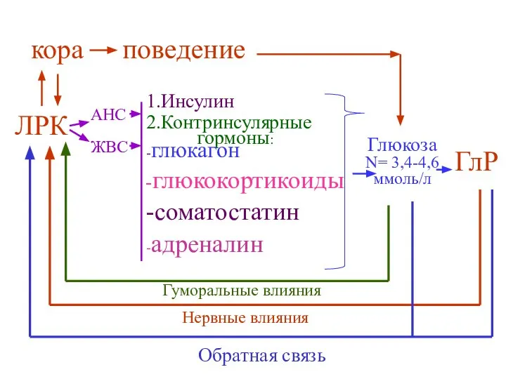 поведение кора ЛРК Глюкоза N= 3,4-4,6 ммоль/л ГлР АНС ЖВС Обратная