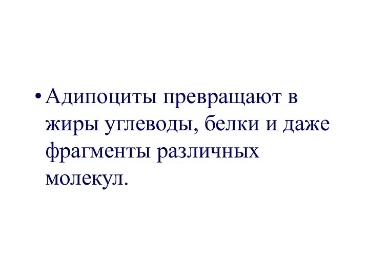 Адипоциты превращают в жиры углеводы, белки и даже фрагменты различных молекул.