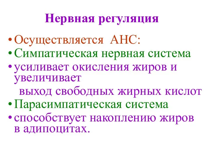 Нервная регуляция Осуществляется АНС: Симпатическая нервная система усиливает окисления жиров и