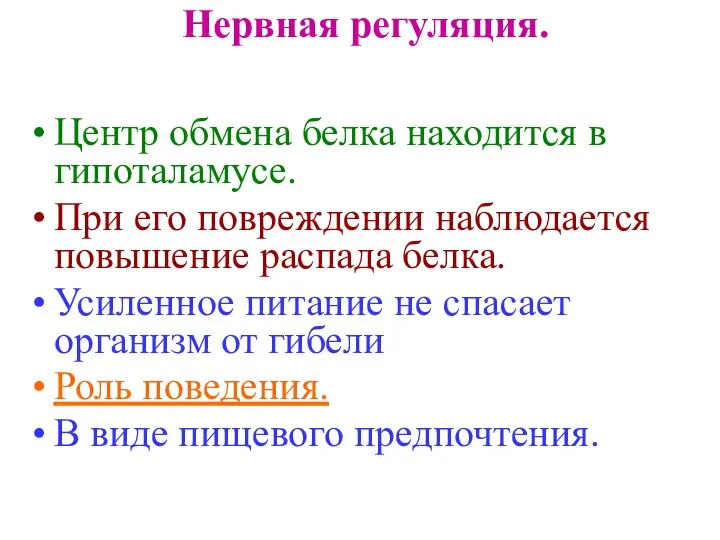 Нервная регуляция. Центр обмена белка находится в гипоталамусе. При его повреждении