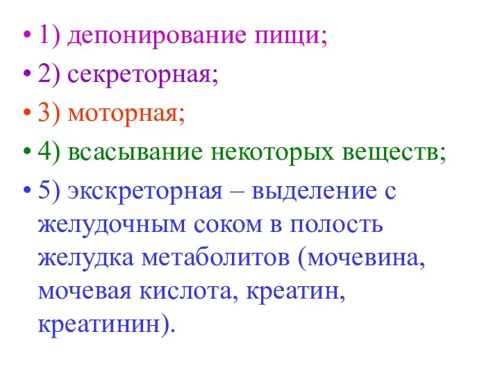 1) депонирование пищи; 2) секреторная; 3) моторная; 4) всасывание некоторых веществ;