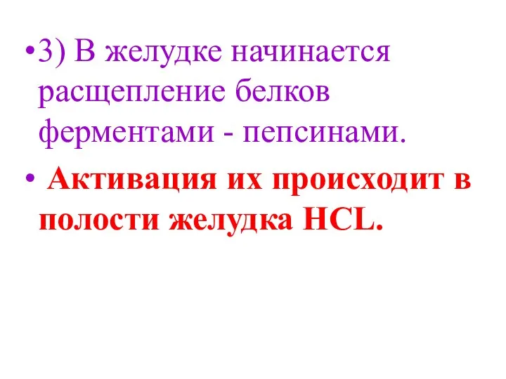 3) В желудке начинается расщепление белков ферментами - пепсинами. Активация их происходит в полости желудка HCL.