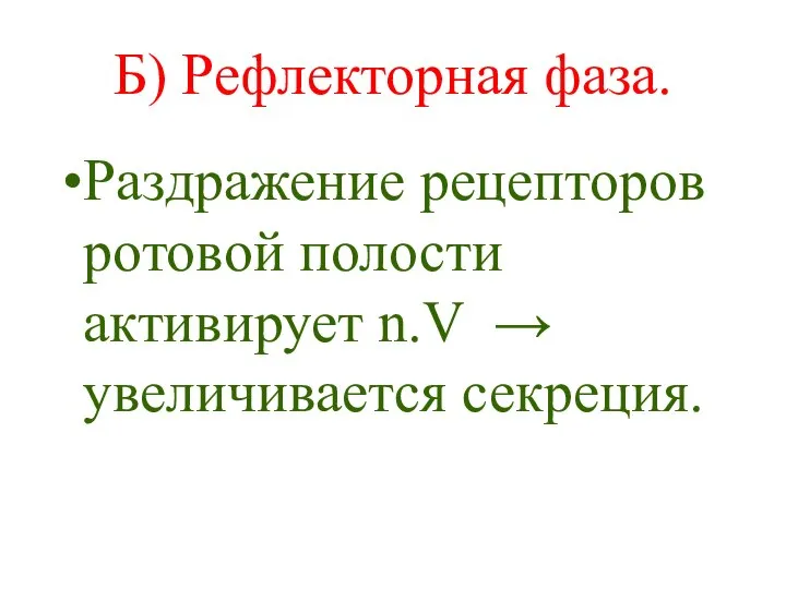 Б) Рефлекторная фаза. Раздражение рецепторов ротовой полости активирует n.V → увеличивается секреция.