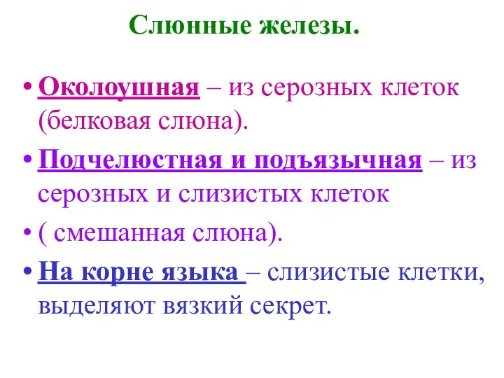 Слюнные железы. Околоушная – из серозных клеток (белковая слюна). Подчелюстная и