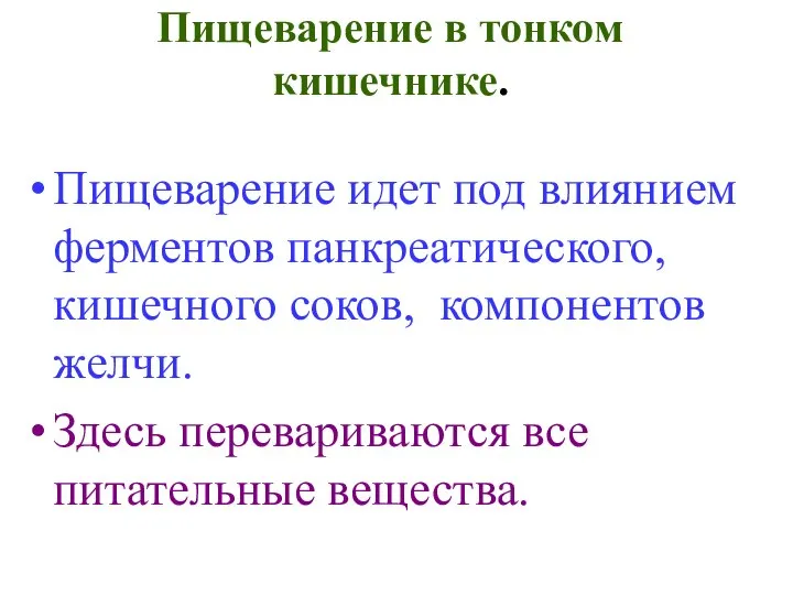 Пищеварение в тонком кишечнике. Пищеварение идет под влиянием ферментов панкреатического, кишечного