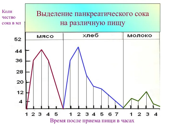 Коли чество сока в мл Время после приема пищи в часах