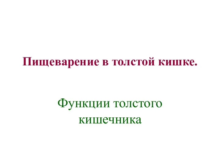 Пищеварение в толстой кишке. Функции толстого кишечника