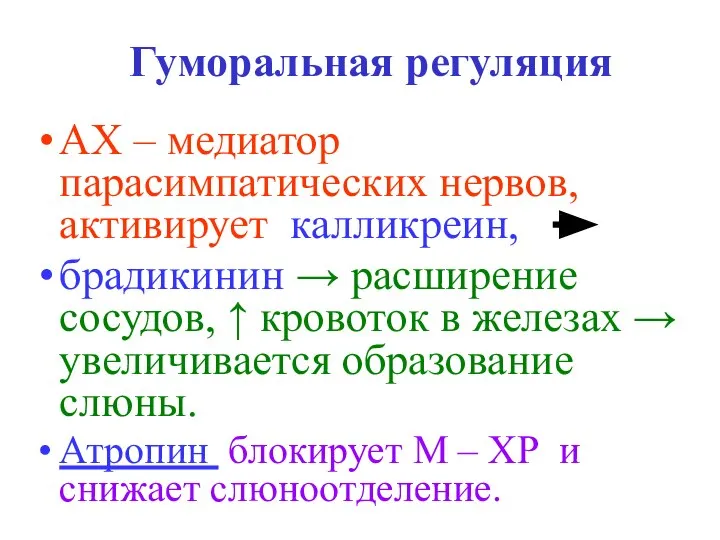 Гуморальная регуляция АХ – медиатор парасимпатических нервов, активирует калликреин, брадикинин →