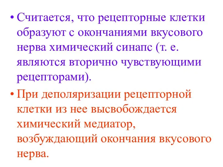 Считается, что рецепторные клетки образуют с окончаниями вкусового нерва химический синапс