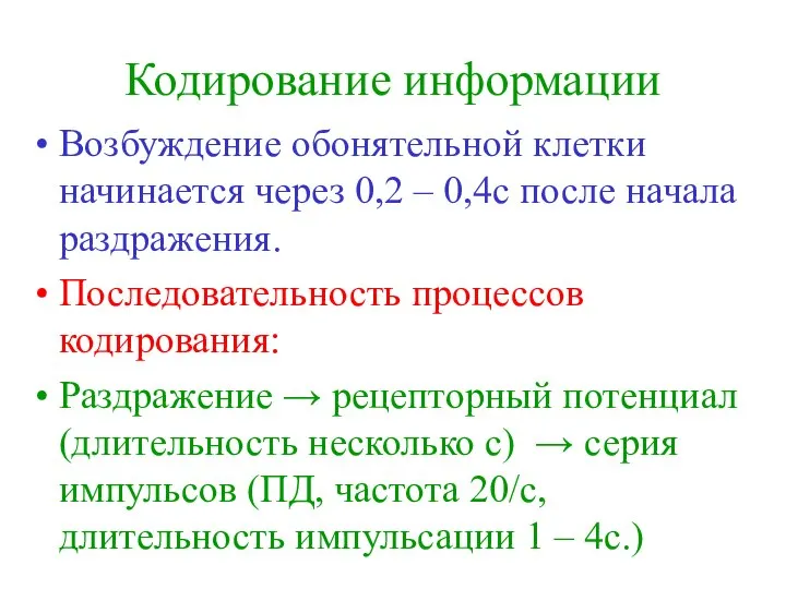 Кодирование информации Возбуждение обонятельной клетки начинается через 0,2 – 0,4с после