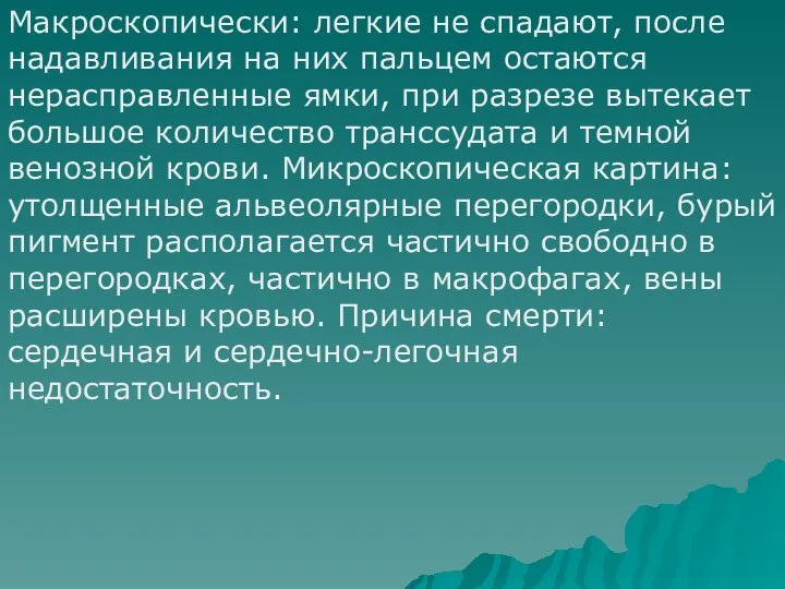 Макроскопически: легкие не спадают, после надавливания на них пальцем остаются нерасправленные