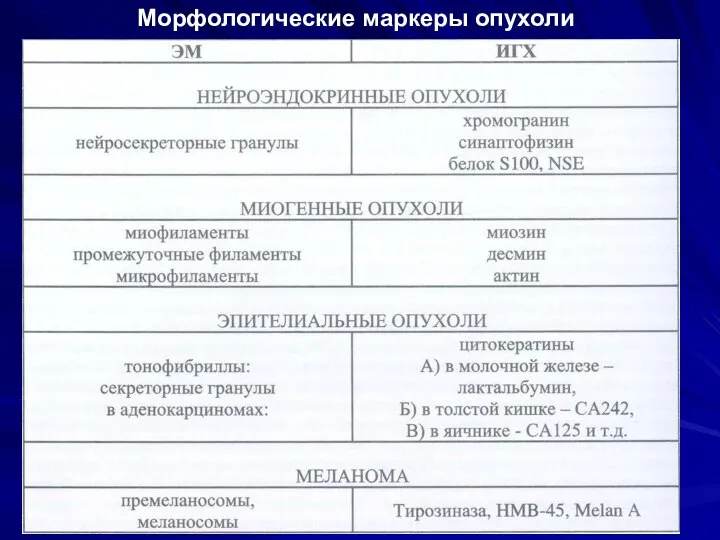 Морфологические маркеры опухоли